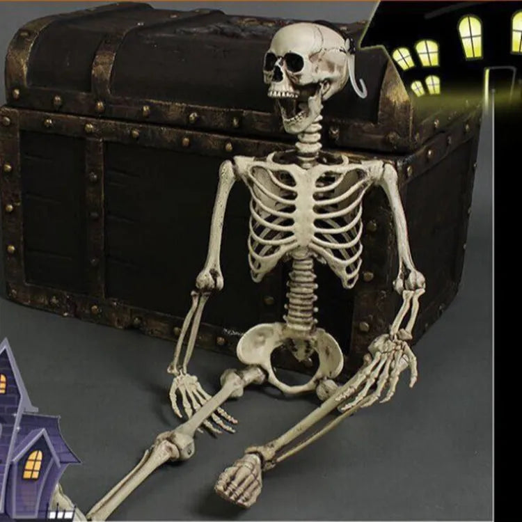 Full-size 170cm tall plastic skeleton skull prop displayed upright