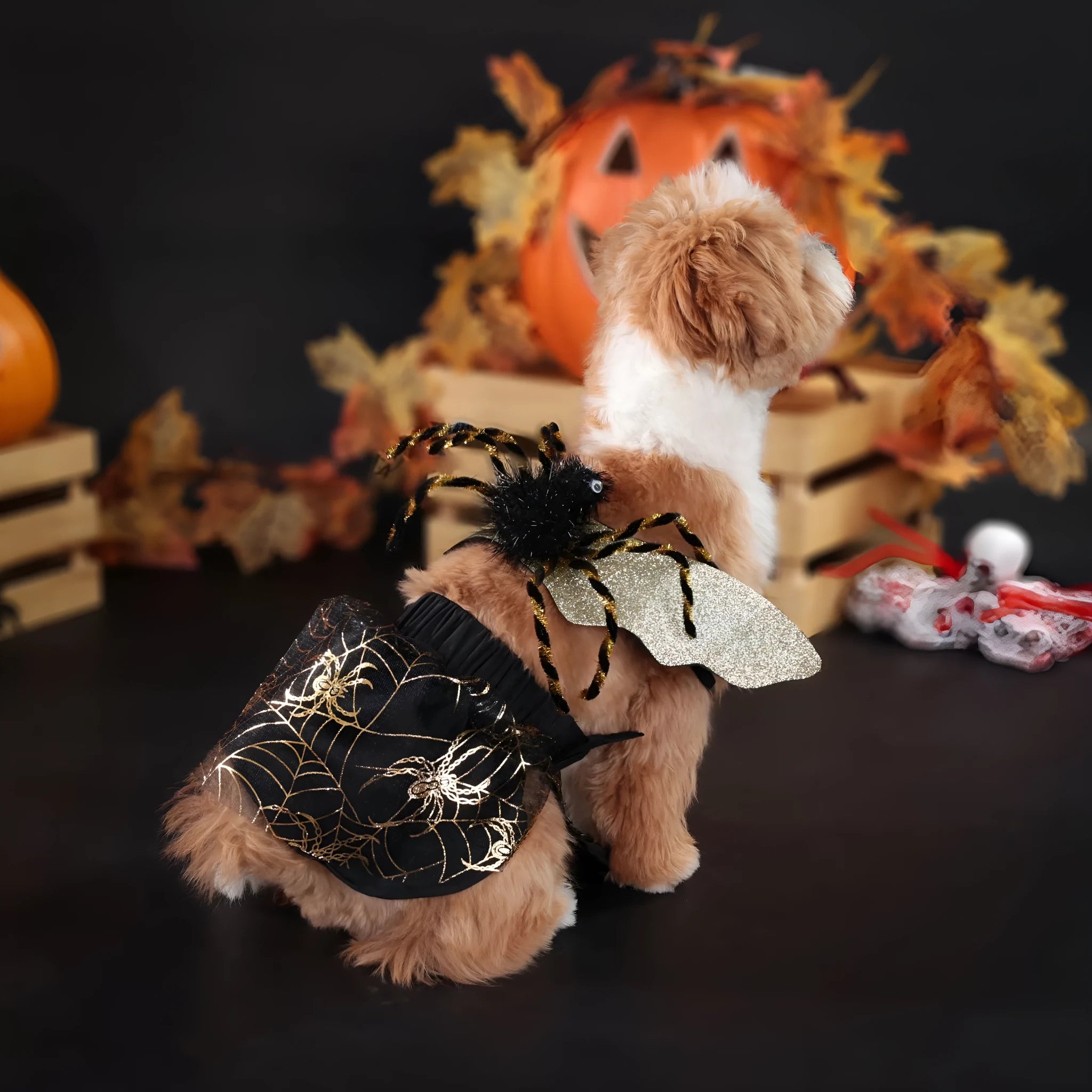 A dog wearing a colourful polyester Halloween suit costume, shown in size S, M, L, or XL.