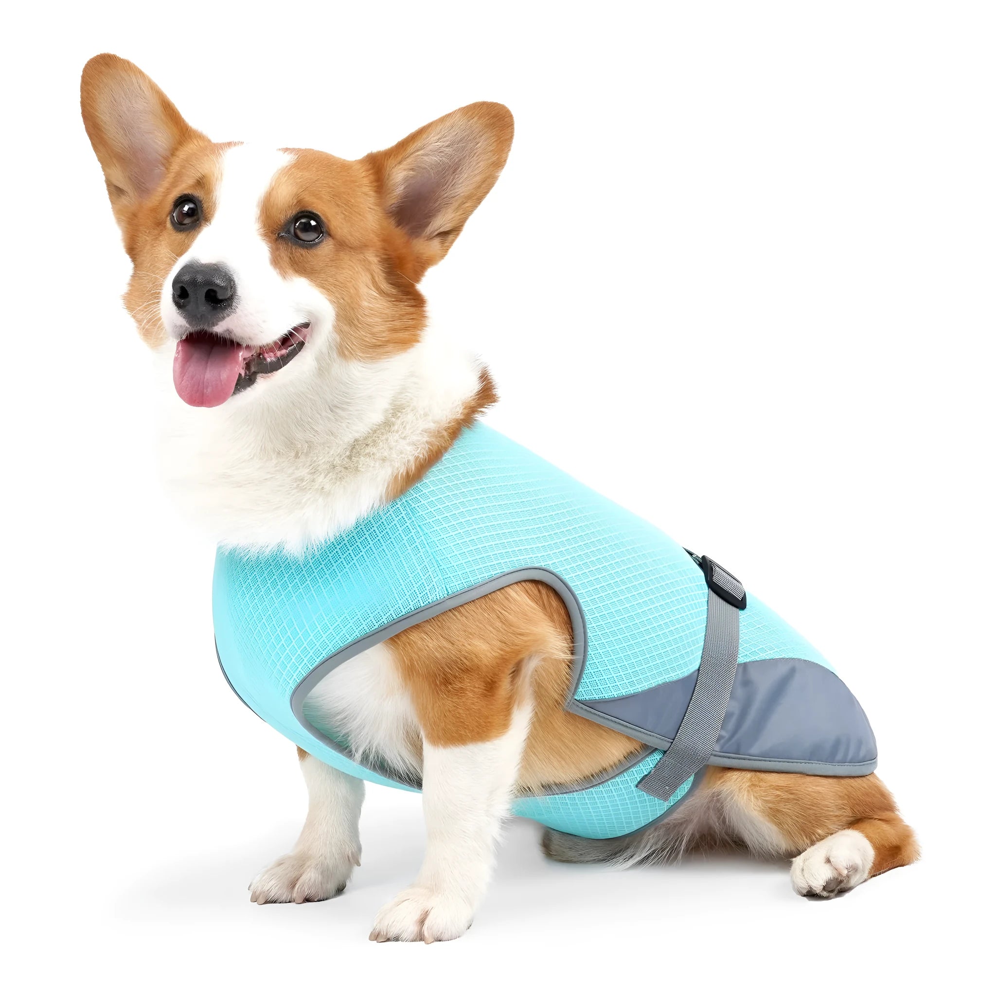 Light grey breathable polyester dog cooling vest for heatstroke prevention on a medium-sized dog.