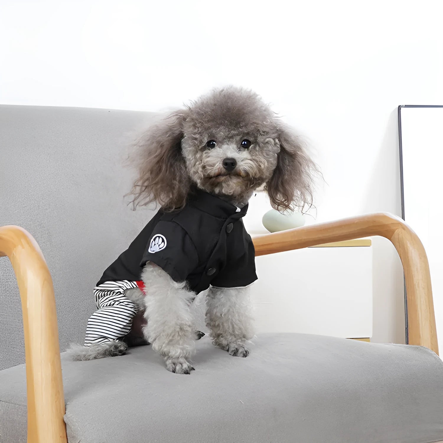 Thin cotton dog clothes for poodles in skirt and four-legged pants styles for spring and autumn seasons