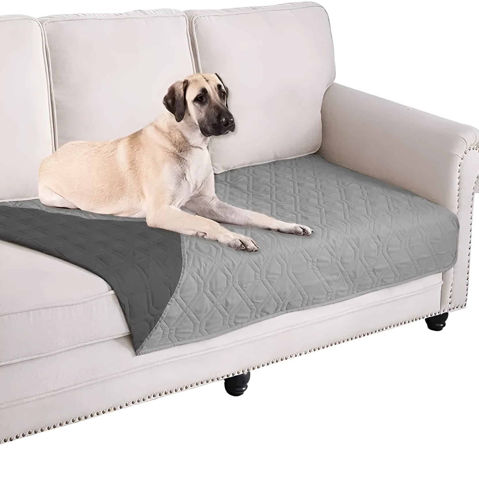 Reversible dog blanket sofa cover in burgundy colour protecting furniture