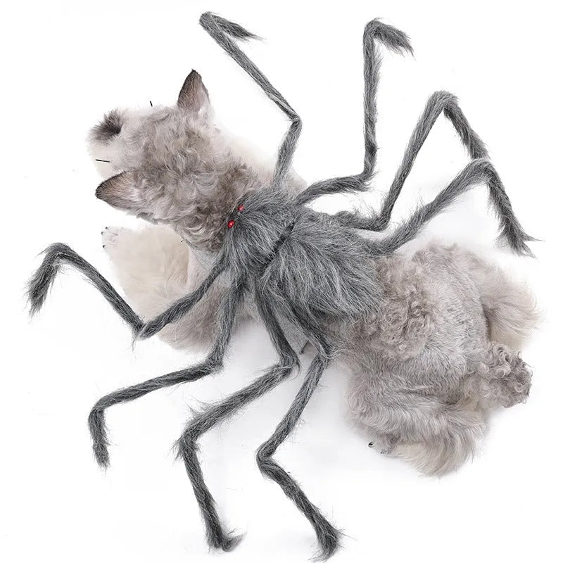 Halloween pet spider costume with eight legs in polyester available sizes S M L