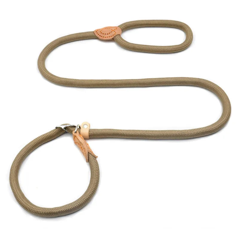Blast race training dog leash with automatic tightening nylon collar in multiple colour options.
