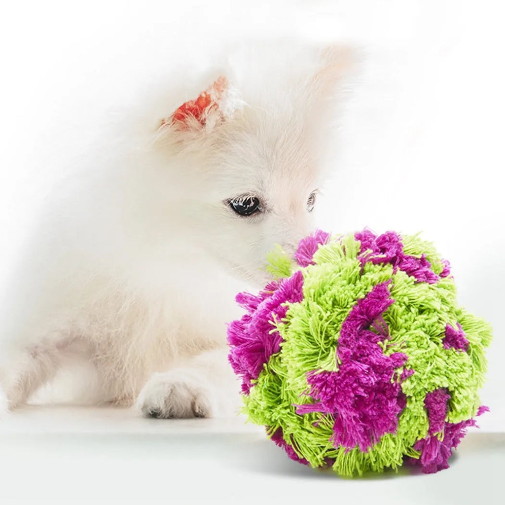 Purple plush seaweed ball design dog chew toy, 15cm in diameter, on a white background.