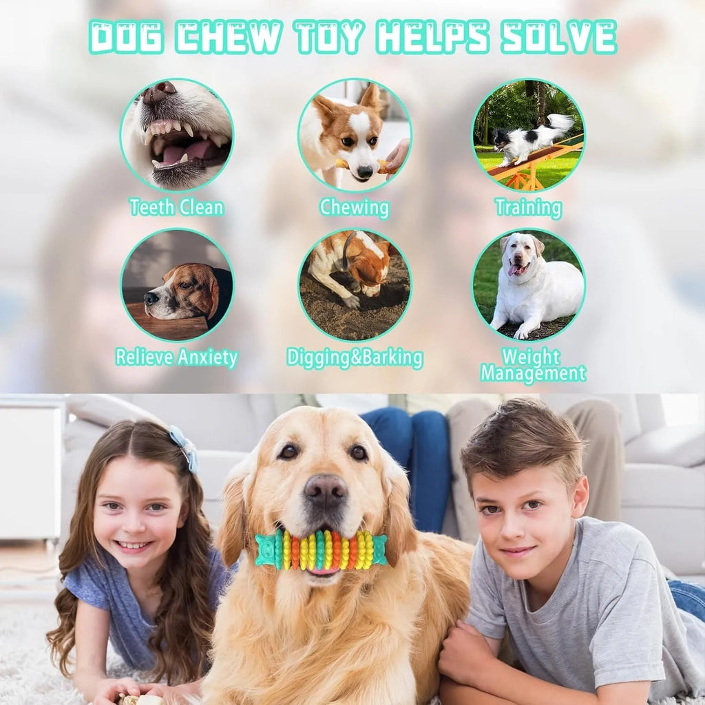 Blue rubber caterpillar-shaped dog chew toy for aggressive chewers on a plain background