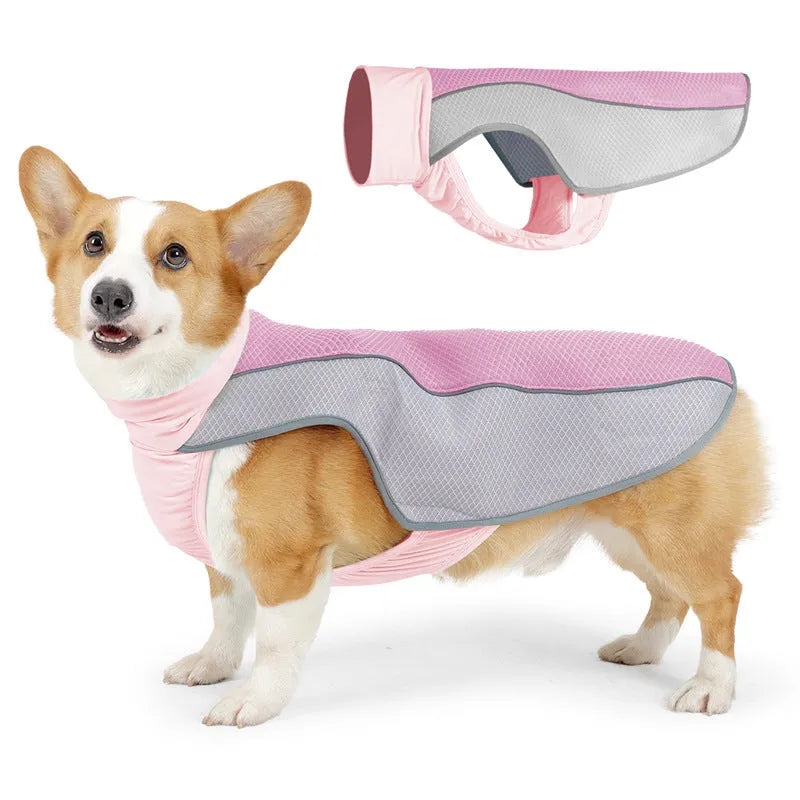 Light grey breathable polyester dog cooling vest for heatstroke prevention on a medium-sized dog.