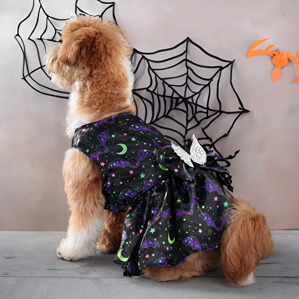 Dog wearing an angel wings Halloween costume in bright pumpkin colour.