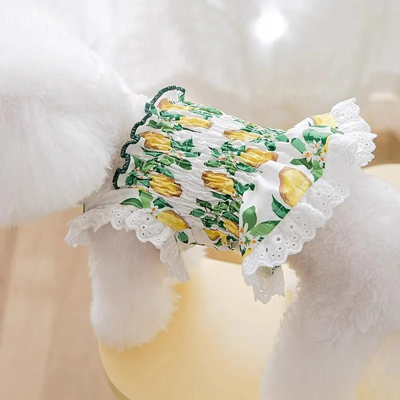 Rock yellow lemon polyester dog dress with strap skirt design for small to medium dogs