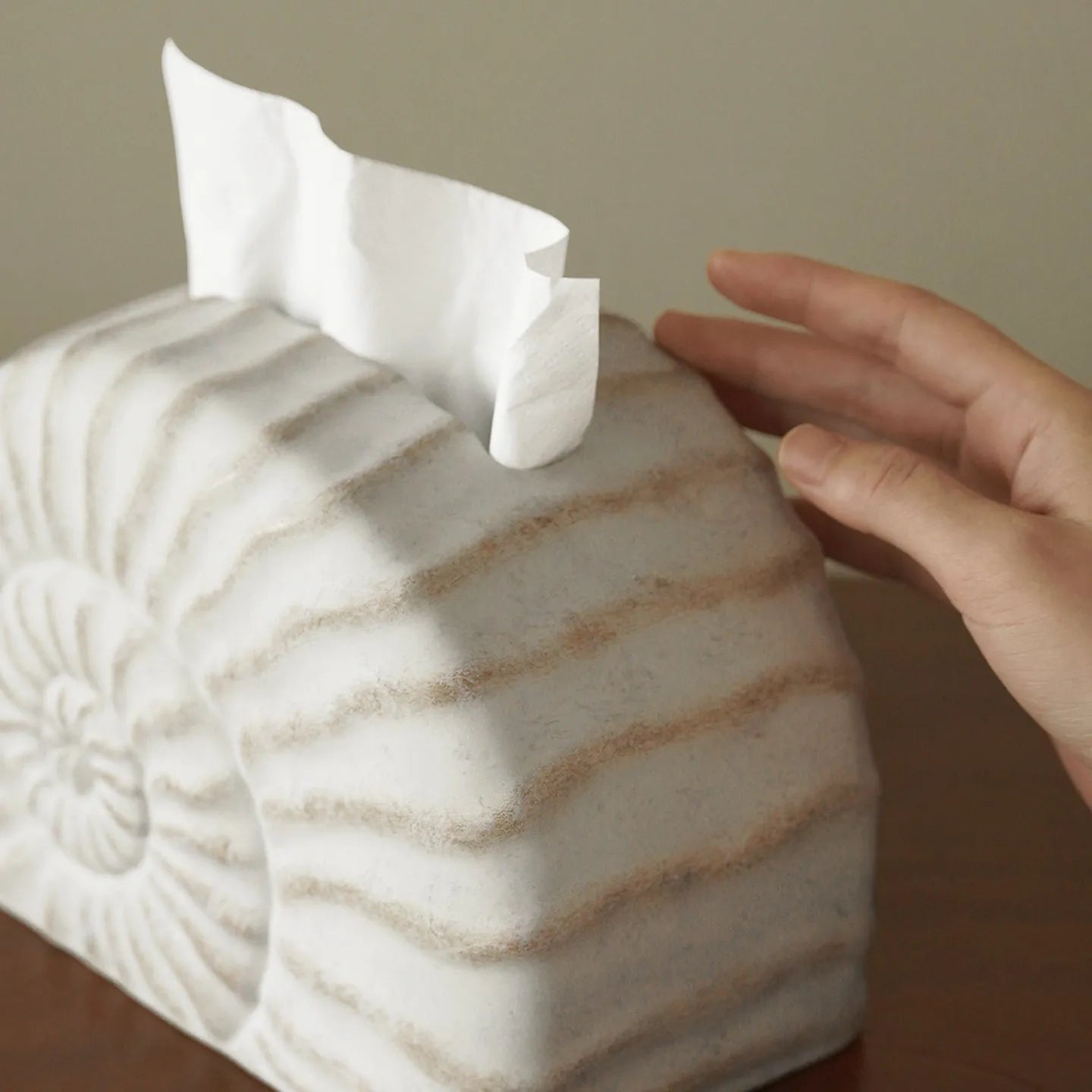 Resin conch seashell tissue box decoration in conch ramble colour on a table.