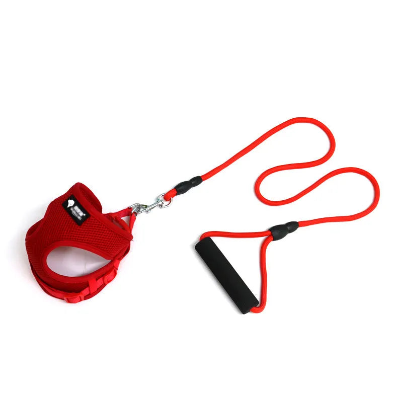 Round rope dog leash with foam handle and matching collar in blue pink red or yellow for small dogs