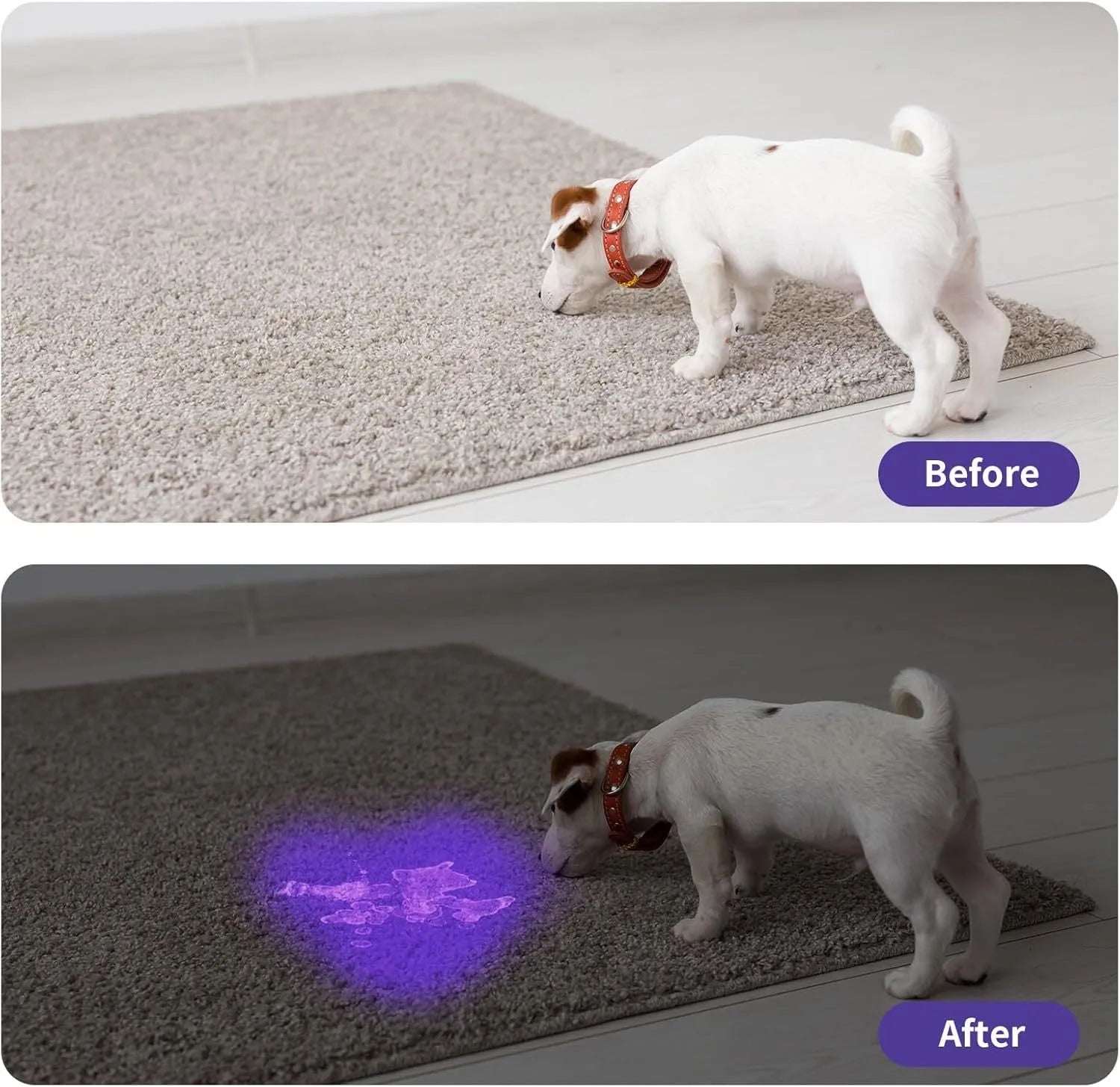 Black handheld UV flashlight torch with aluminium body for detecting pet urine stains and insects.