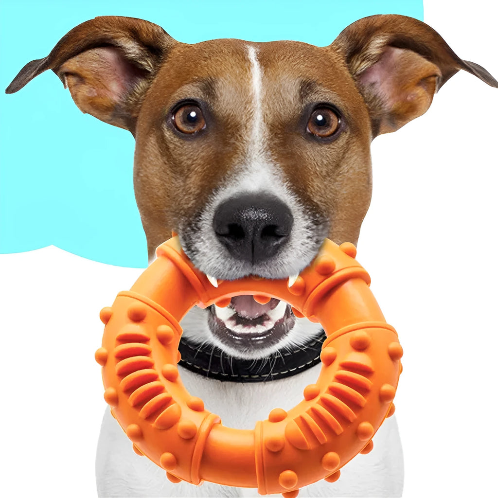 Blue hollow dog fetch stick toy on grass, showing lightweight, chewable design for outdoor play.