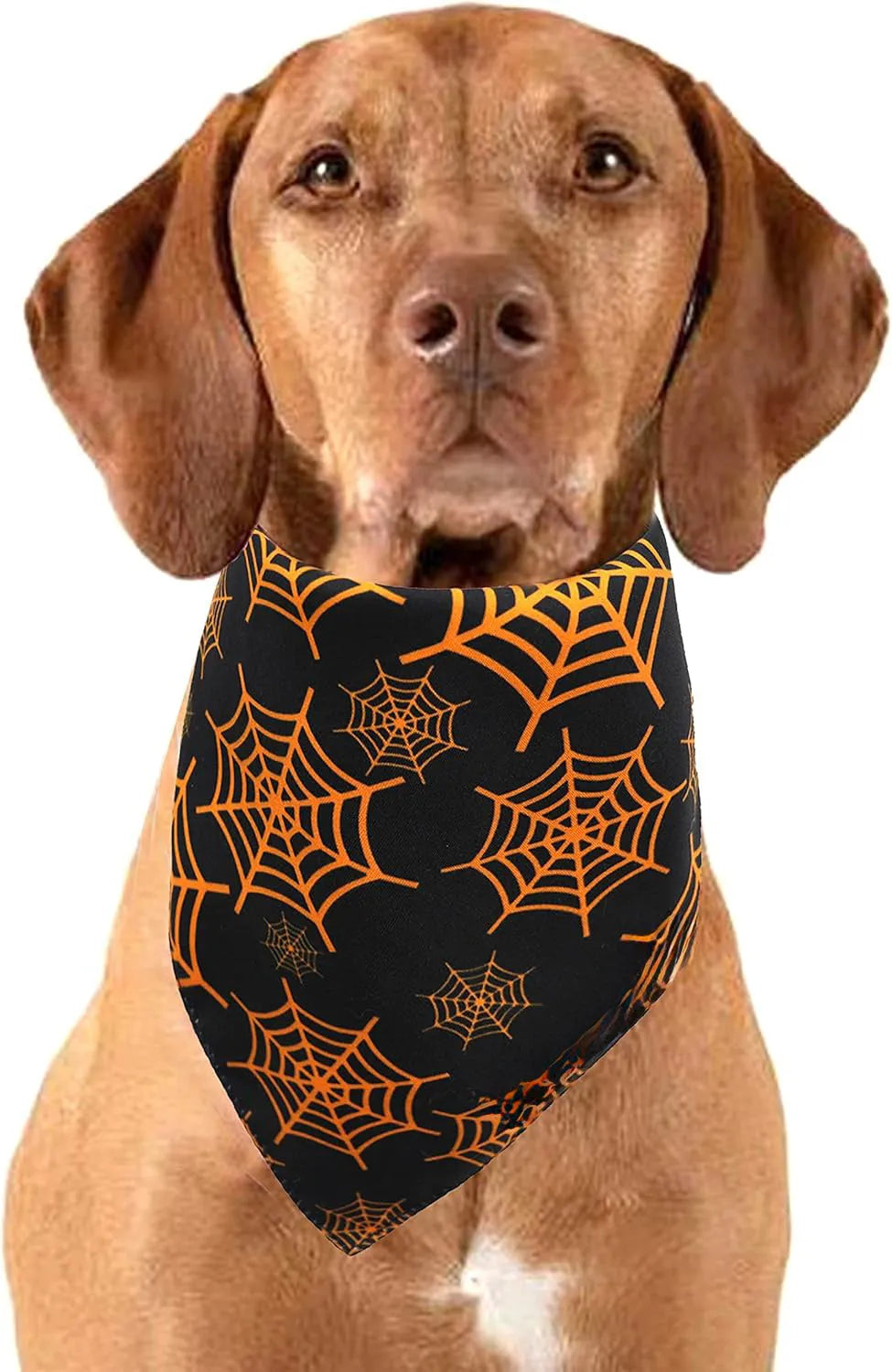 Black and orange reversible Halloween dog bandana with pumpkin and spider web patterns lying flat.