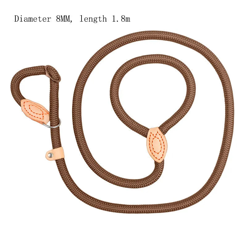 Blast race training dog leash with automatic tightening nylon collar in multiple colour options.