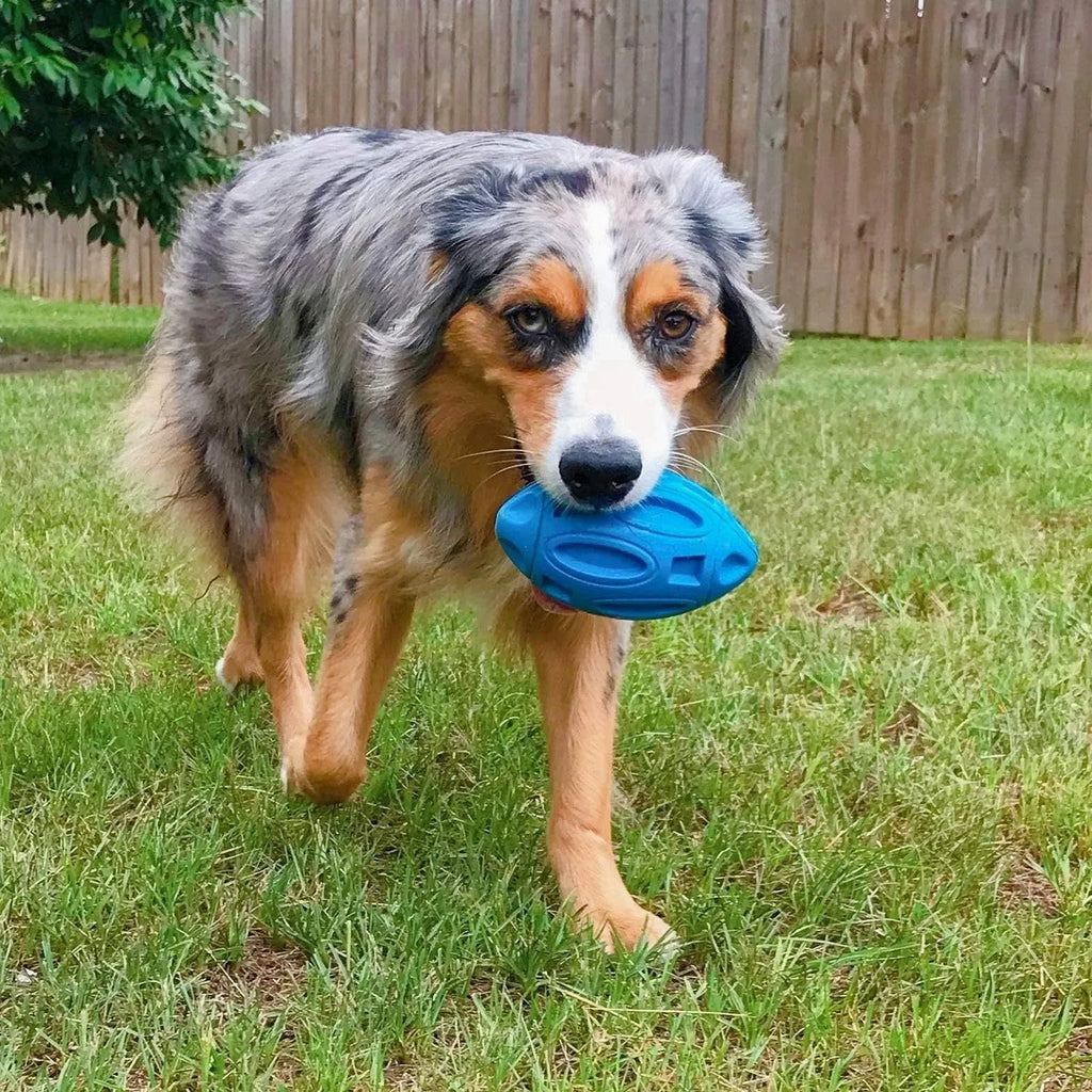 Blue, green, and orange rubber squeaky dog chew ball with grooved surface for medium and large breeds.