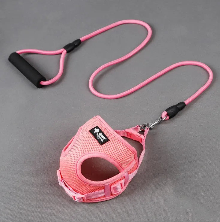 Round rope dog leash with foam handle and matching collar in blue pink red or yellow for small dogs