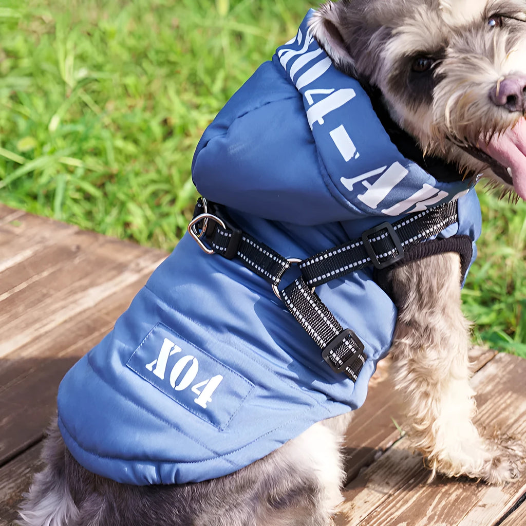 Red fleece-lined waterproof dog coat with hood on a small dog
