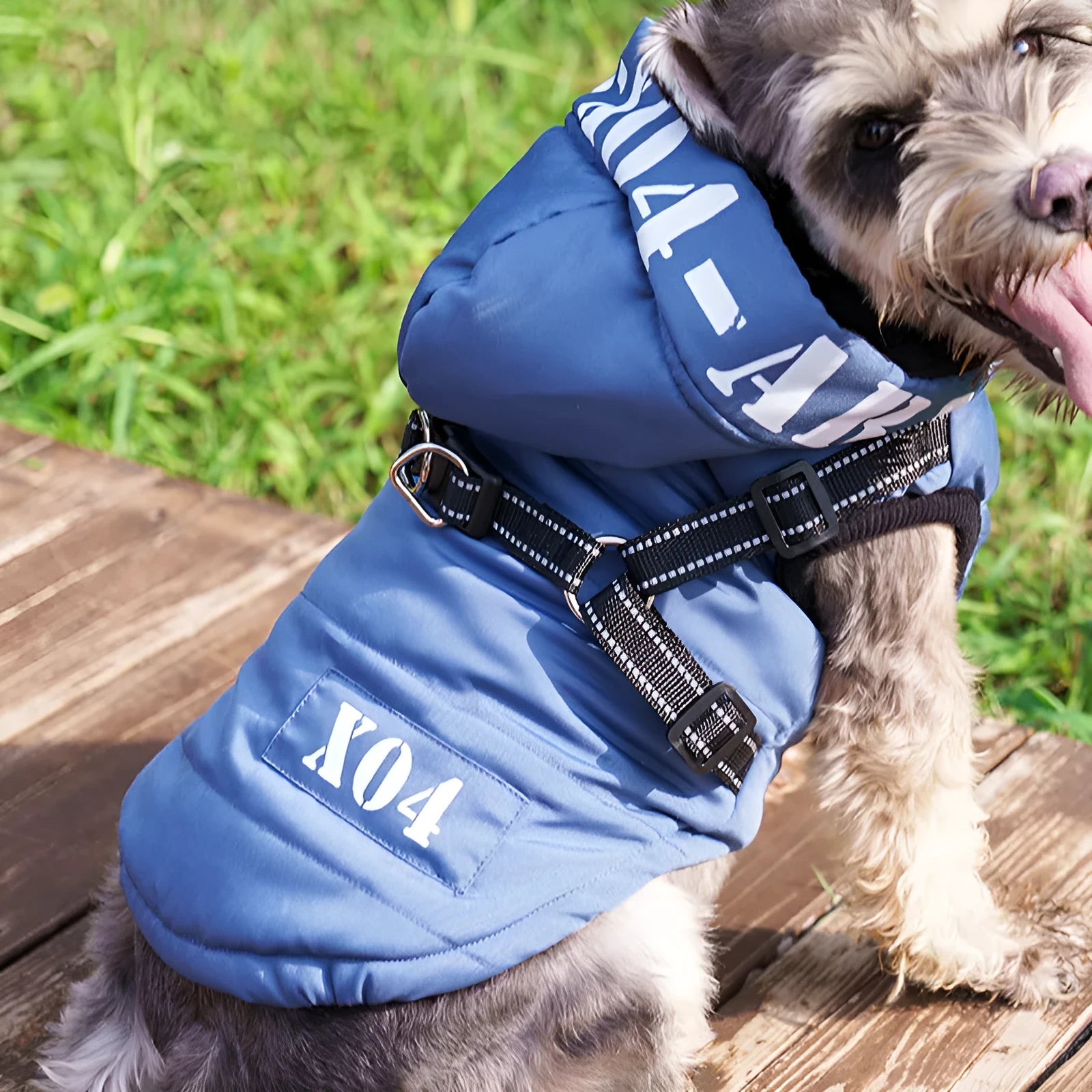 Red fleece-lined waterproof dog coat with hood on a small dog