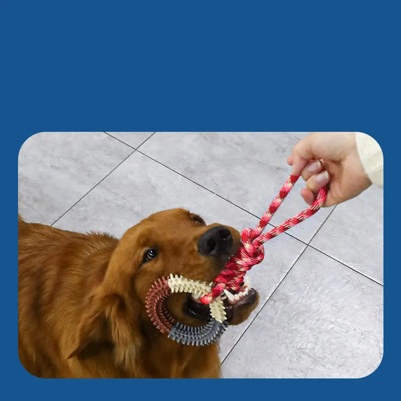 Braided cotton rope knot dog toy in bright colours for biting and tug of war play