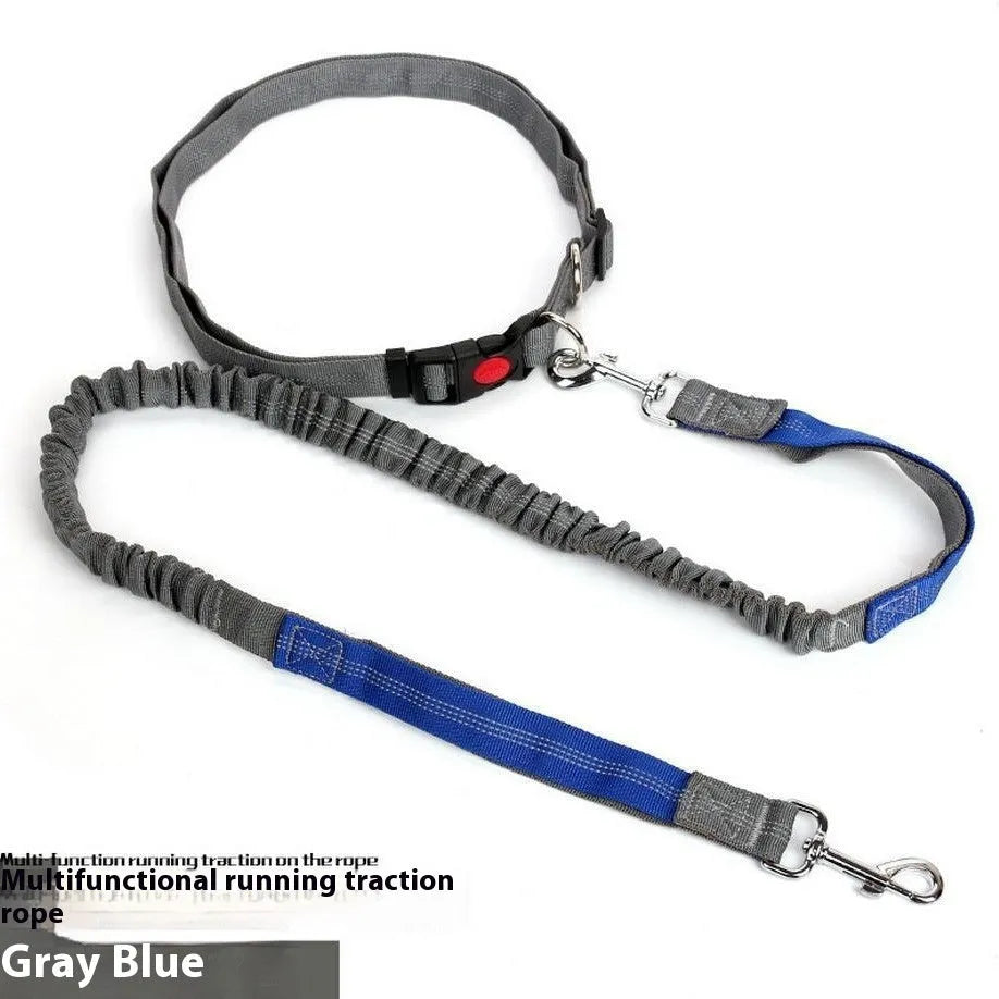 Grey and blue elastic dog leash with reflective sling for outdoor running.