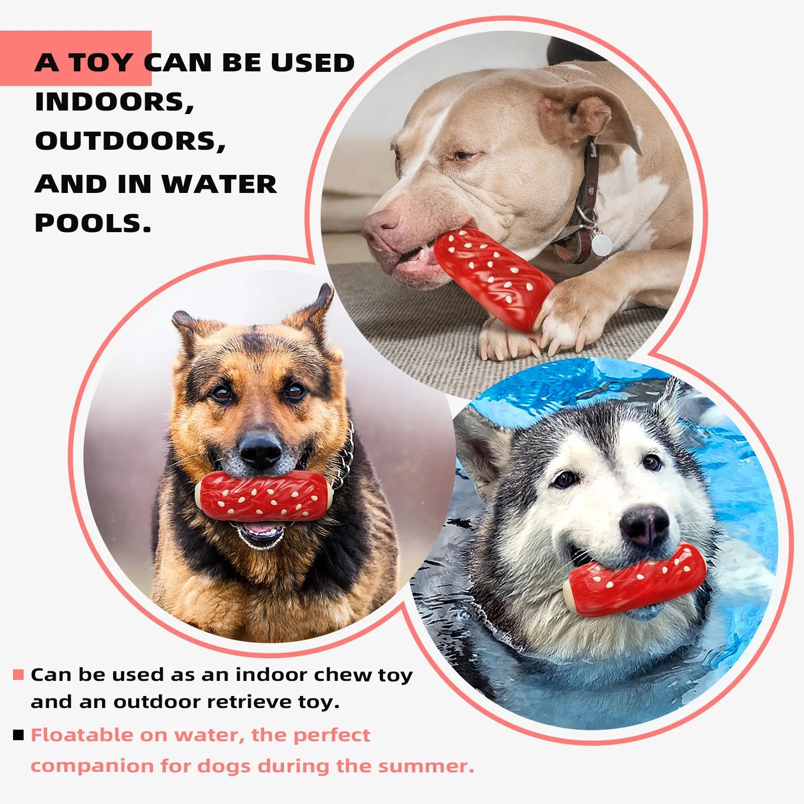 Primary colour plastic dog chew toy with glue toothbrush design and molar rod sections