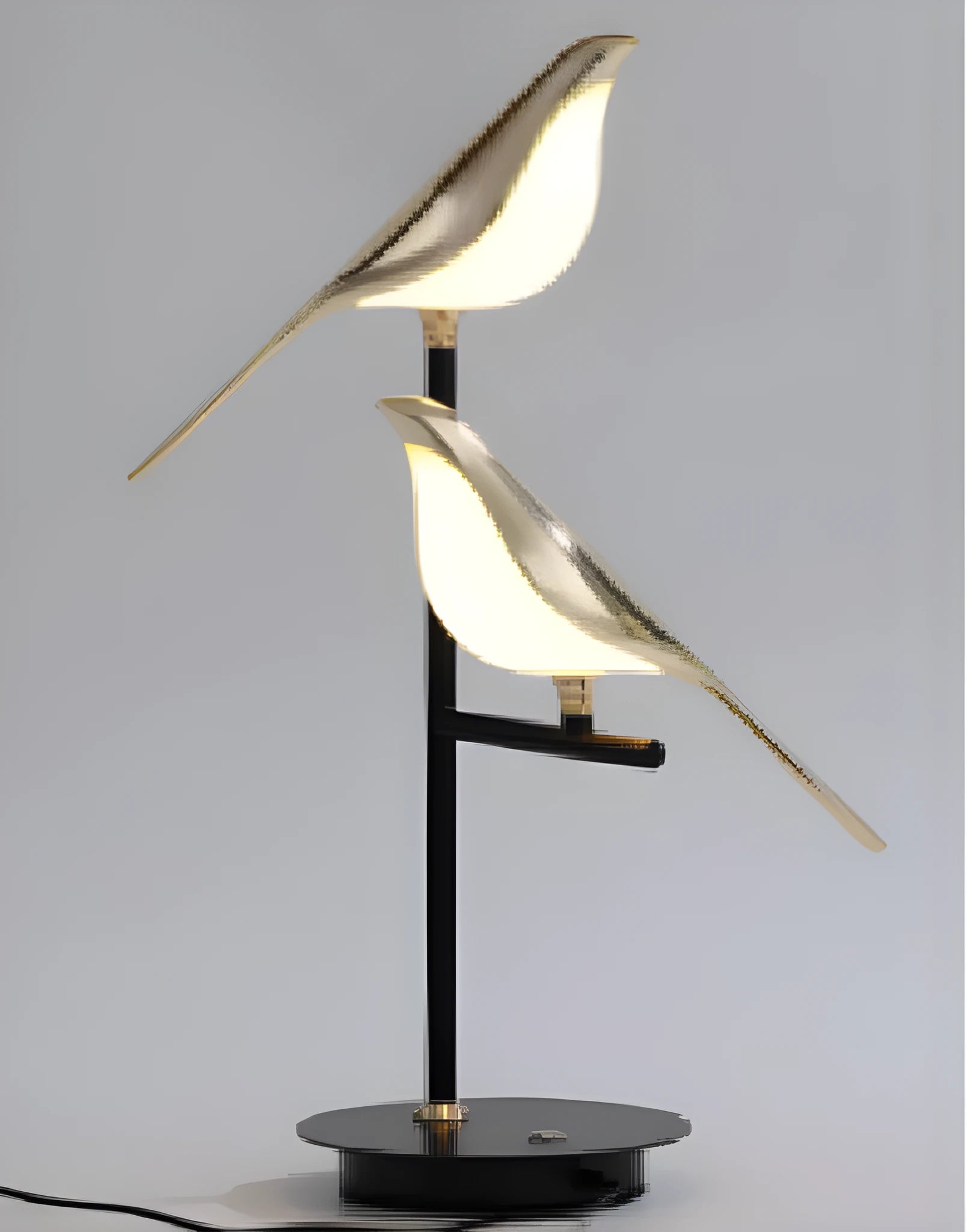 Modern simple aluminium alloy ceiling hall lamp with an iron chandelier frame and adjustable height.