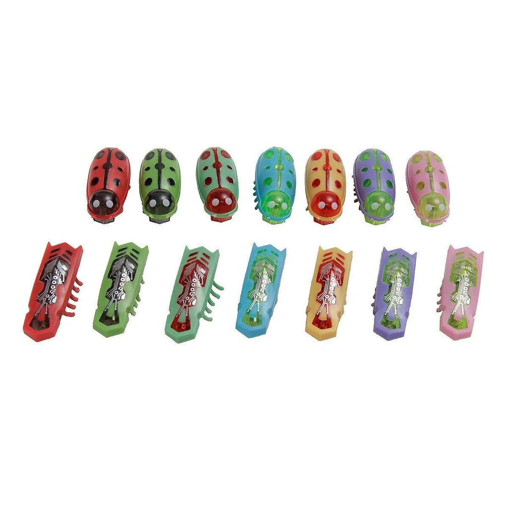 Electric jumping insect cat teaser toy showing iron cow and ladybug designs in red, green, and purple colour combinations