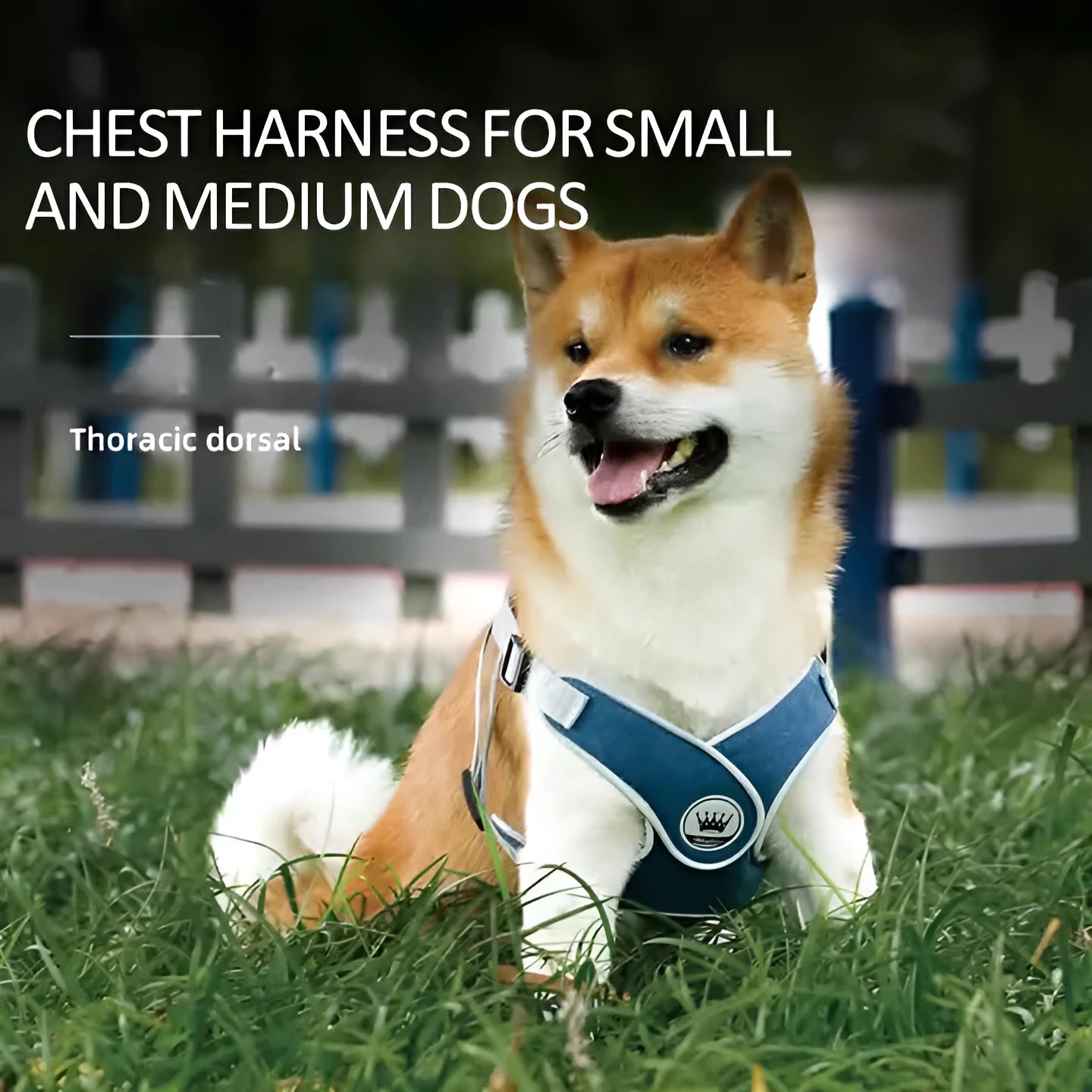 Adjustable dog and cat harness with breathable mesh material in blue colour with matching leash