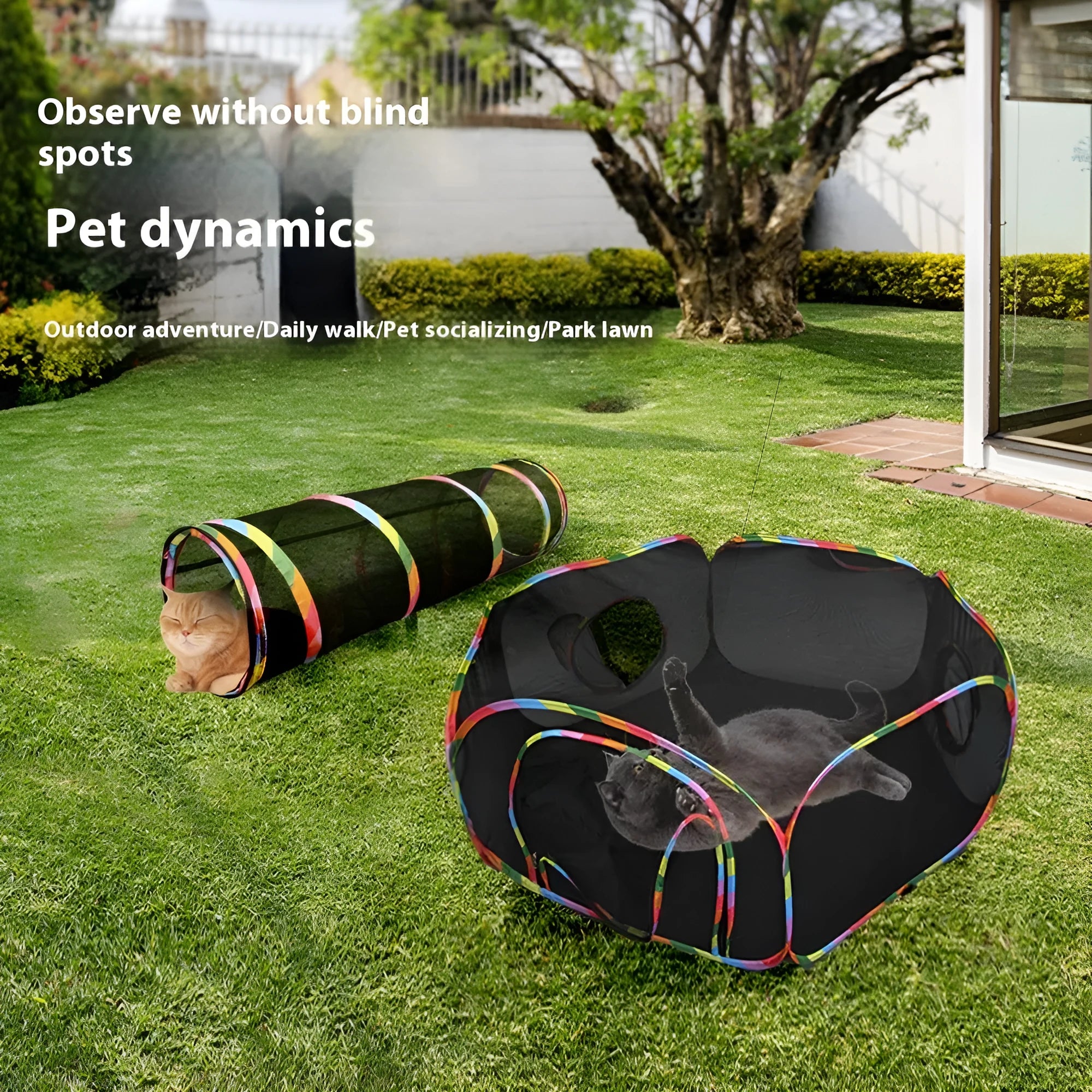 Foldable mesh cat roll cage showing hexagonal, tent and tee shape options for feline play