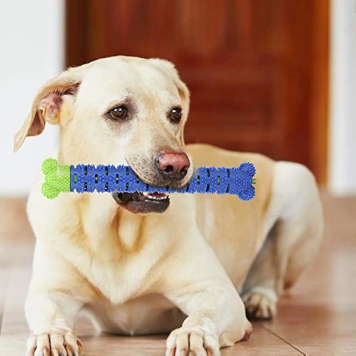 Blue and green silicone dog dental chew stick with textured cleaning surface and nodules for gum massage.