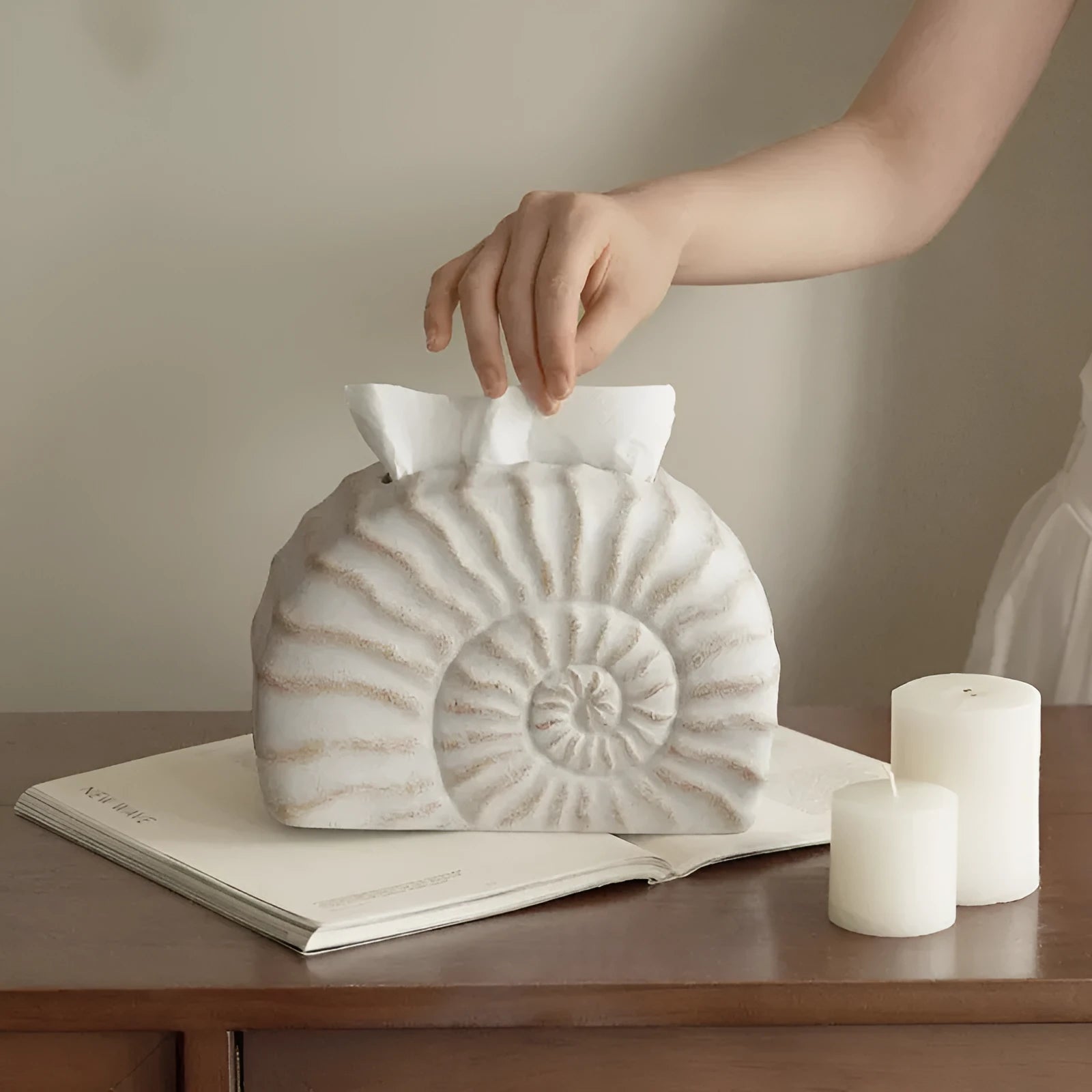 Resin conch seashell tissue box decoration in conch ramble colour on a table.