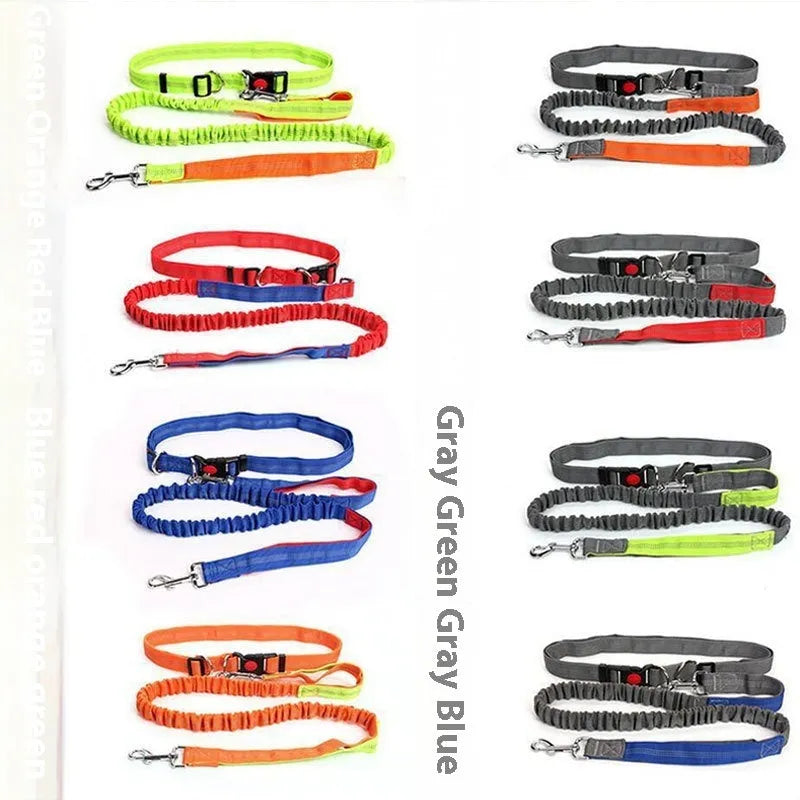 Grey and blue elastic dog leash with reflective sling for outdoor running.