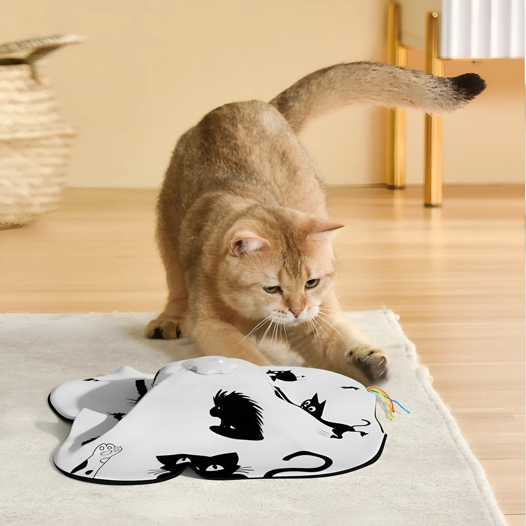 Plastic cat teaser wand toy with extendable rod and feather attachment
