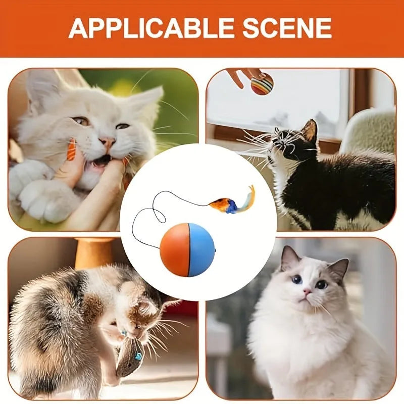 Blue and orange interactive cat toy ball with plush mouse attachment measuring 8.5cm cube