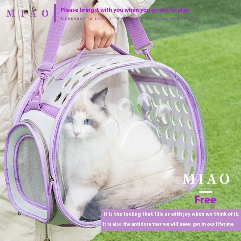 Transparent space capsule style backpack carrier for a cat, shown in lake blue colour, with hard EVA construction.