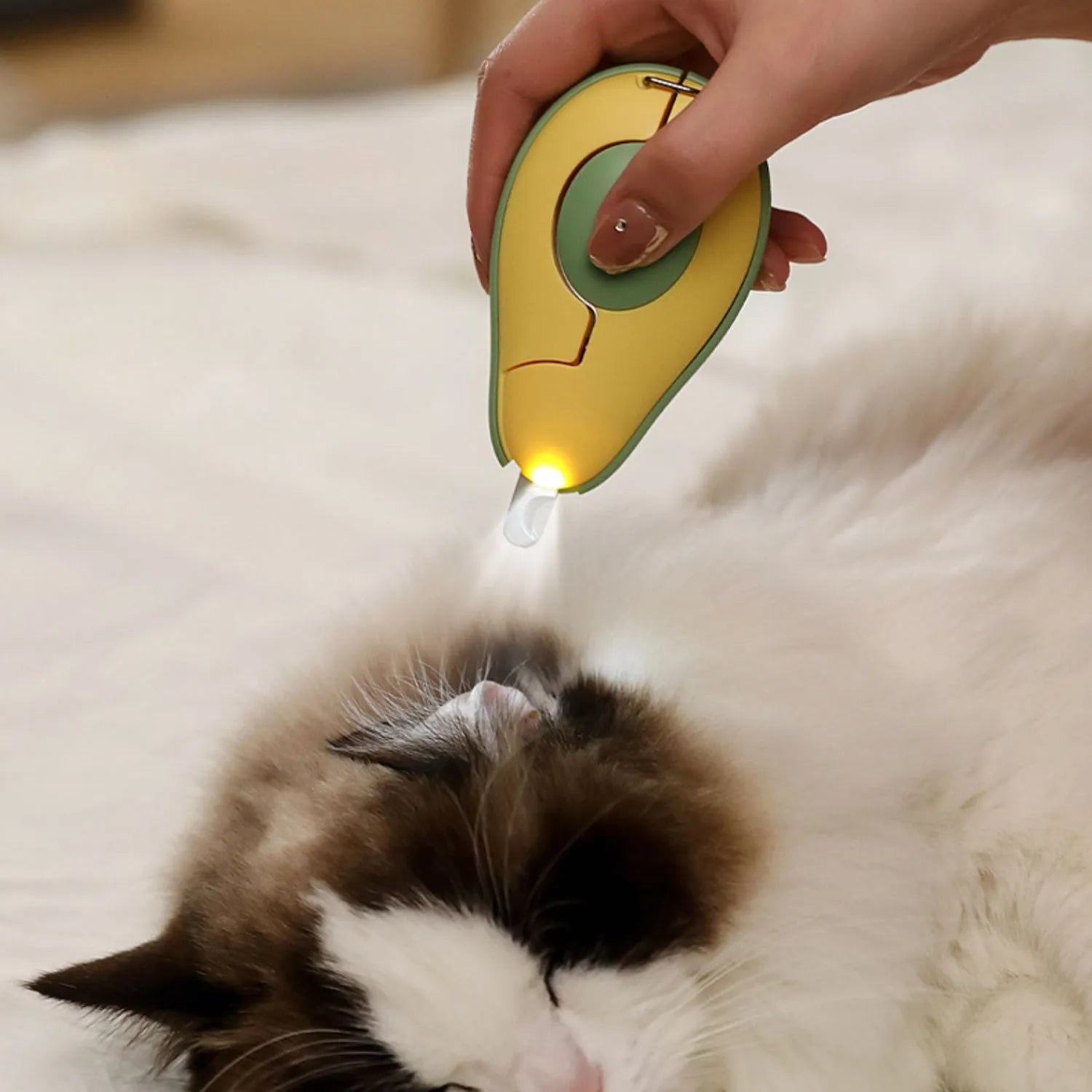 Professional pet nail clipper with LED light in green, pink, and white colour options.