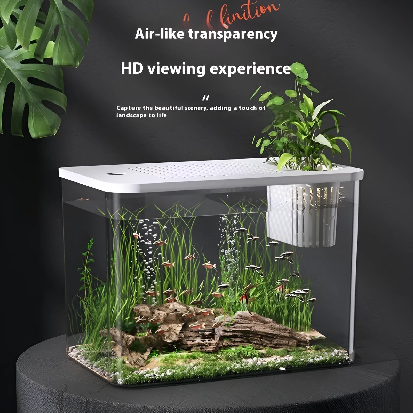 Medium black plastic betta fish tank with cover on a desktop