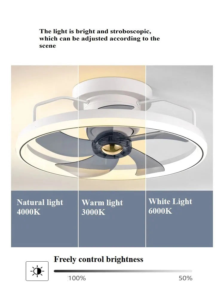 Overhead ceiling fan lamp with light featuring 500mm blades and acrylic lampshade in seven colour options