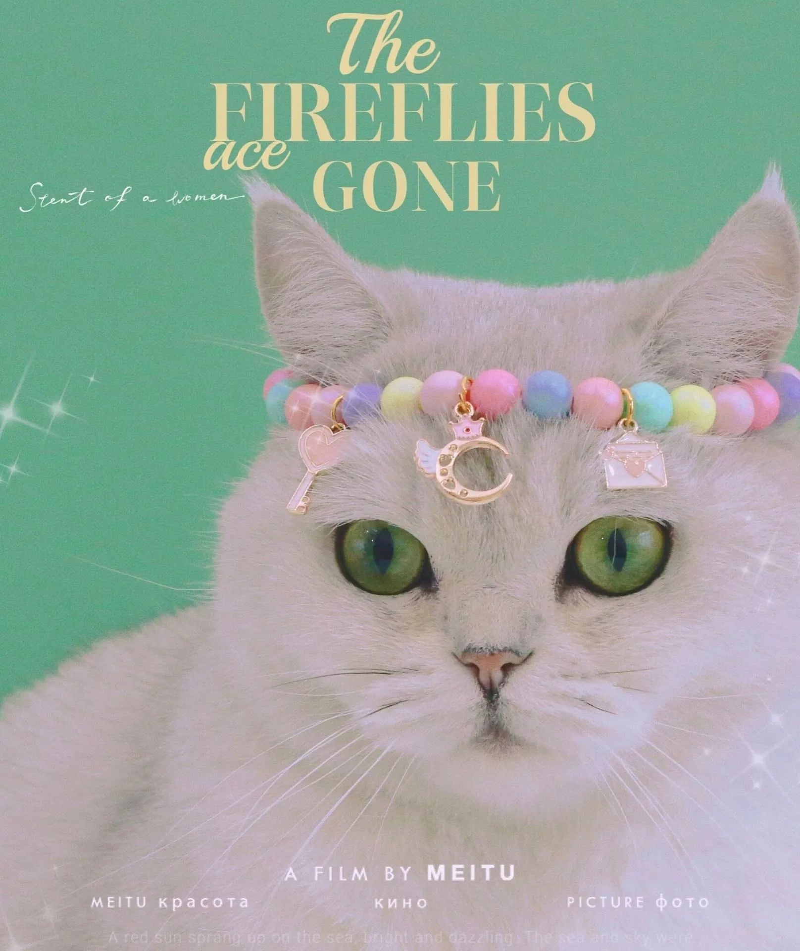 Colourful resin pet collar and bracelet set in macaron colours with pearl and dream moon decorations