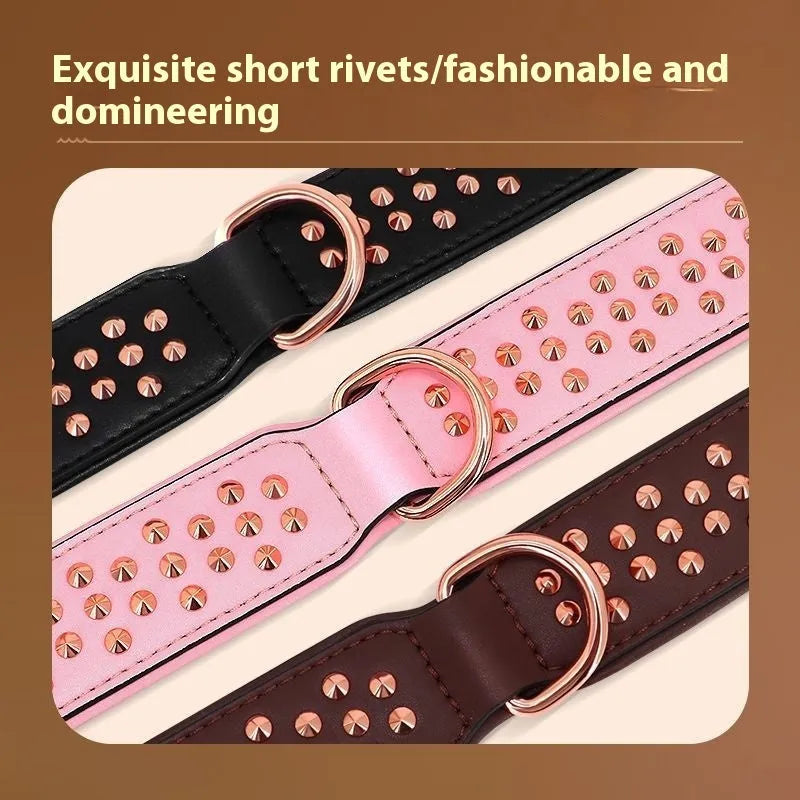 Chocolate coloured leather dog collar with metal rivets for anti-bite protection on a dog's neck.