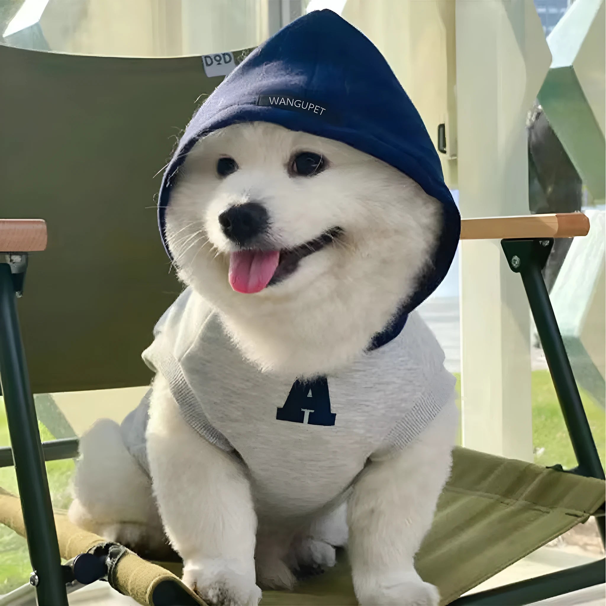 Blue slim-fit pet hoodie with reflective letters on a dog, showing the casual style and safety feature.