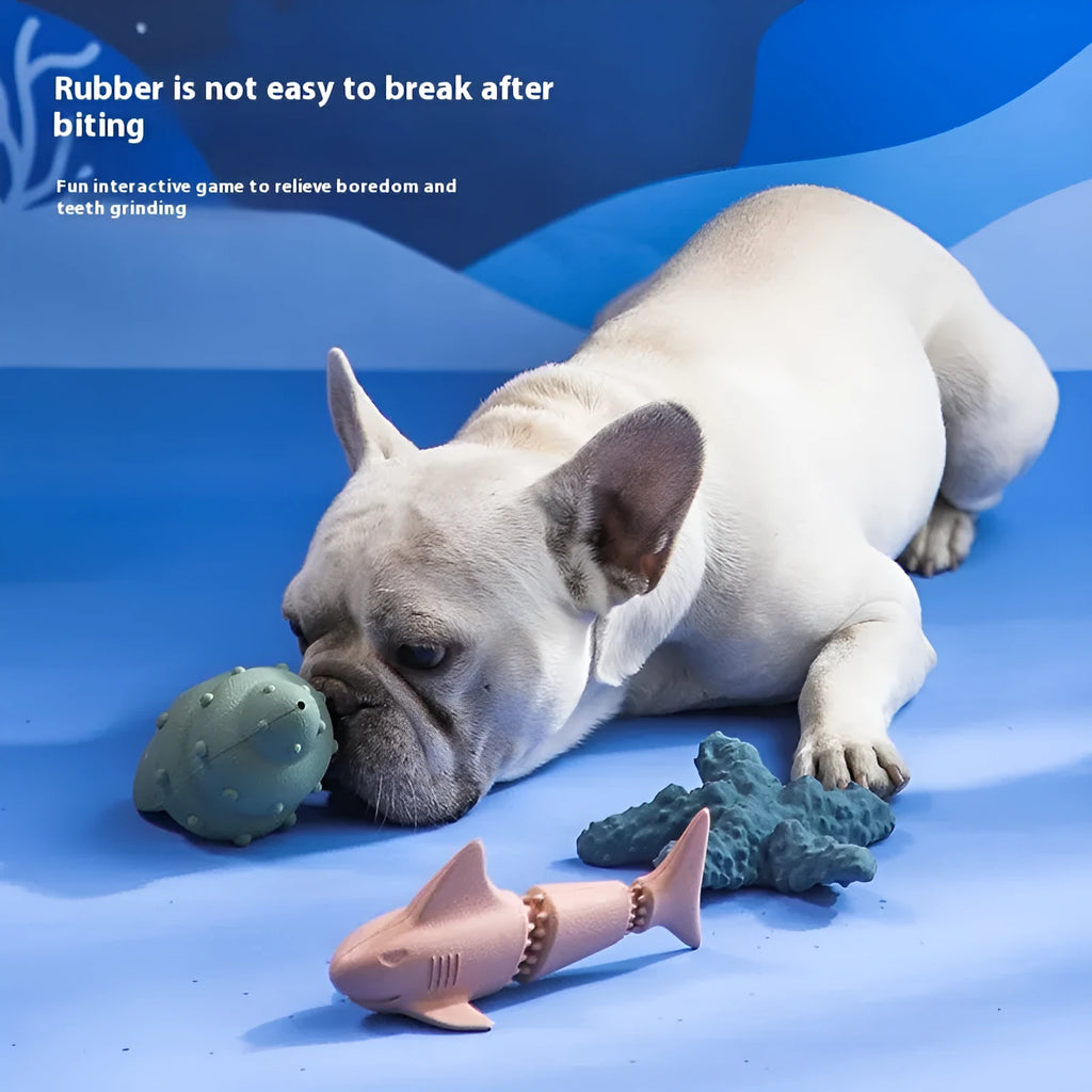 Blue rubber shark dog toy with conch shell texture design for chewing play