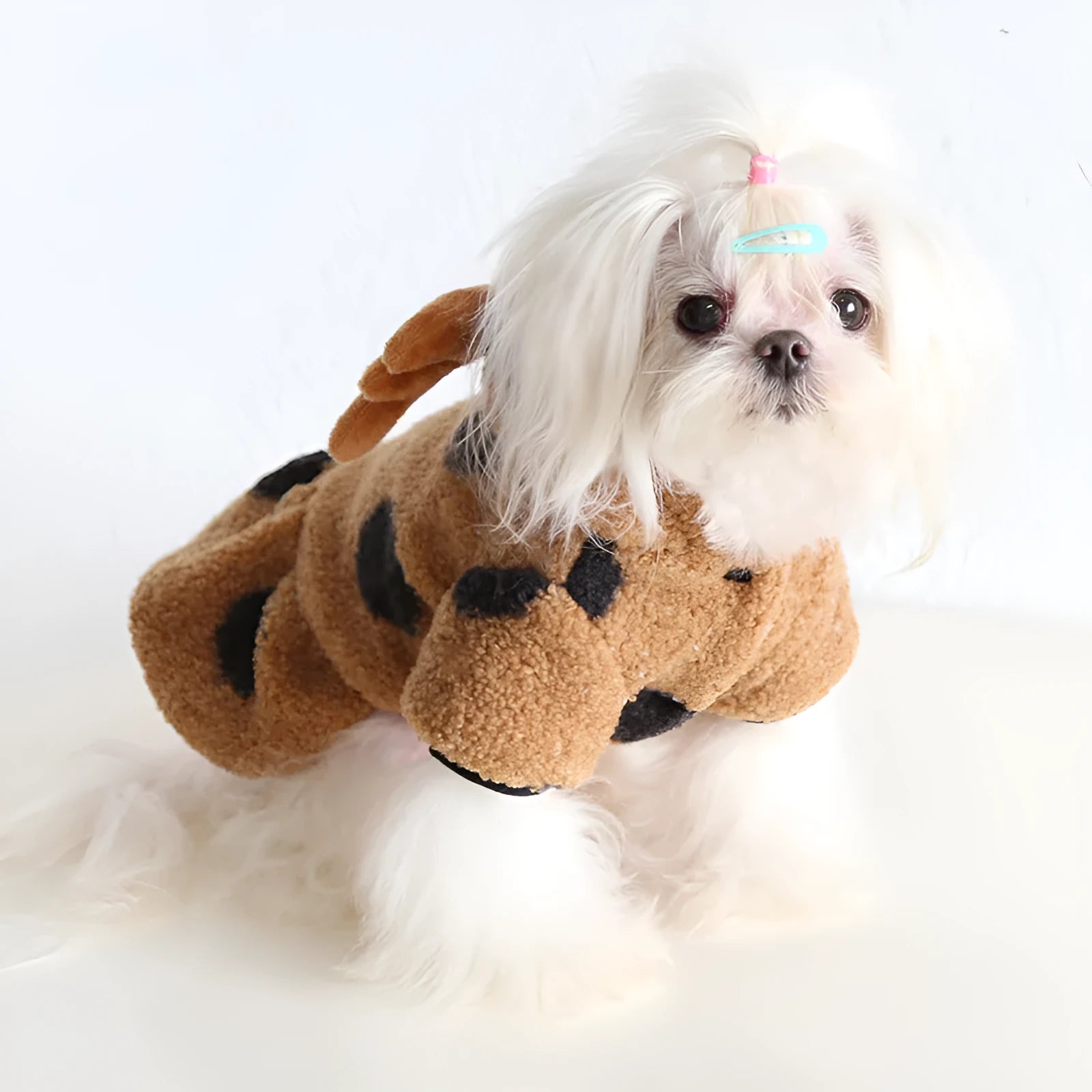 Polka dot elk couple pattern pet costume shown in skirt and four-leg styles for cats and dogs