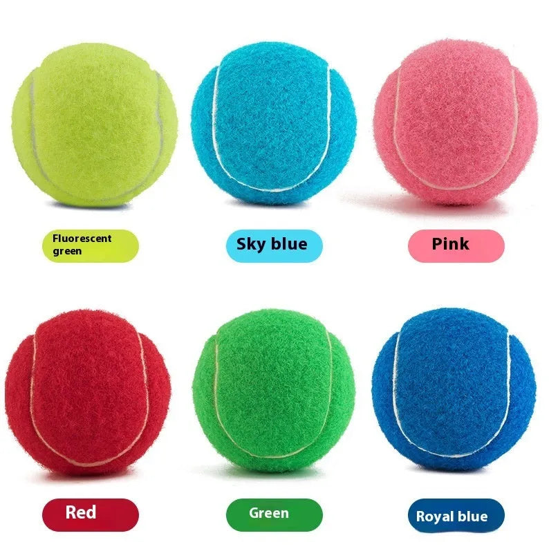 6.3cm bright coloured rubber dog tennis ball for bite-resistant fetch play