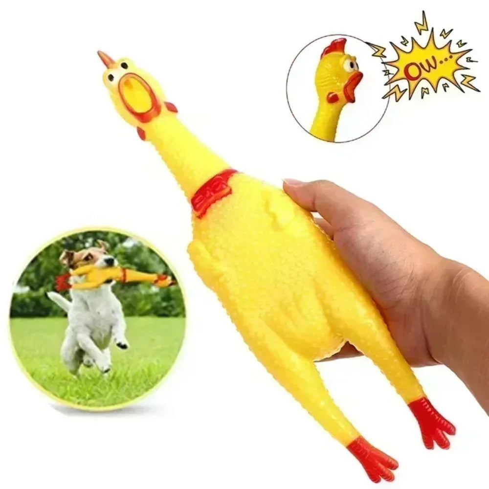 Yellow rubber screaming chicken dog squeak toy shown in three sizes: small, medium, and large.