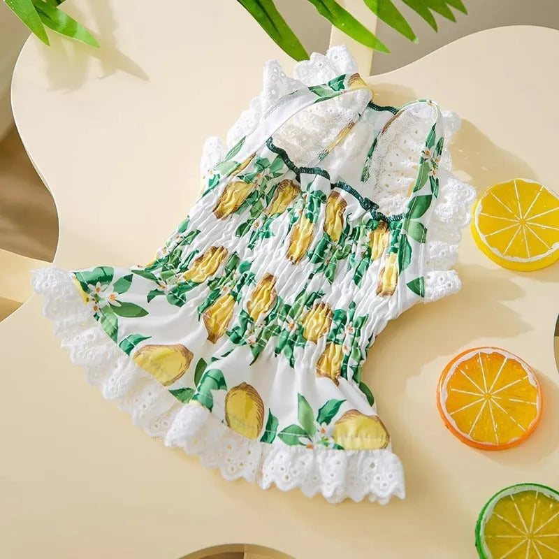 Rock yellow lemon polyester dog dress with strap skirt design for small to medium dogs