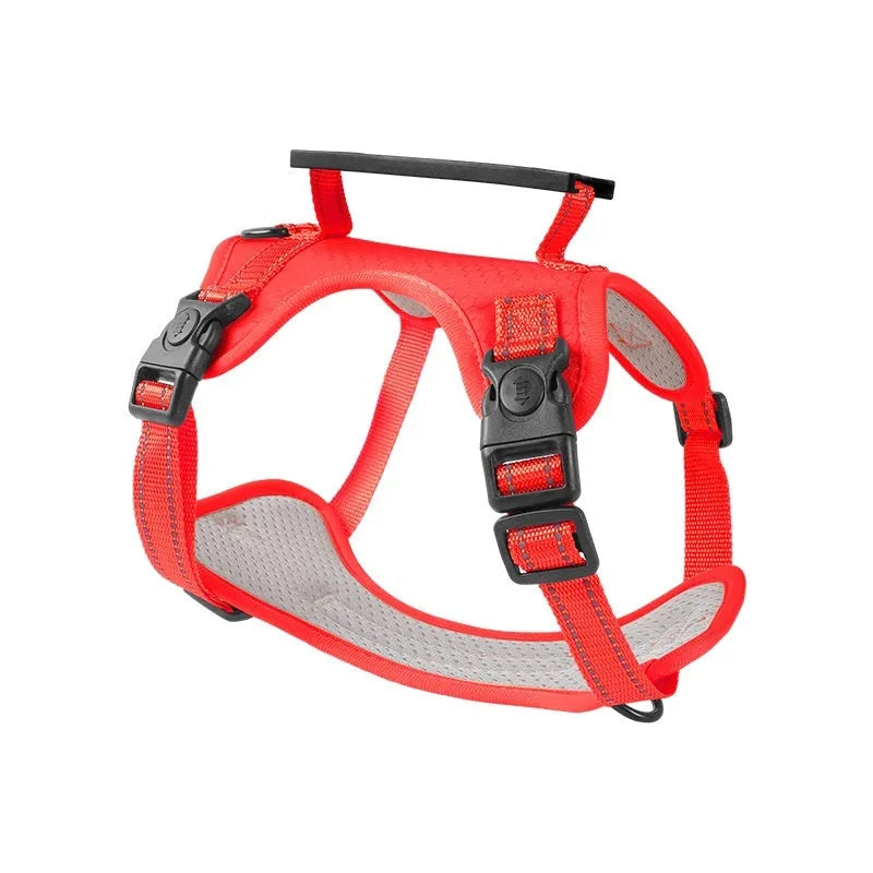 Polyester dog chest harness traction rope in multiple colours with size options