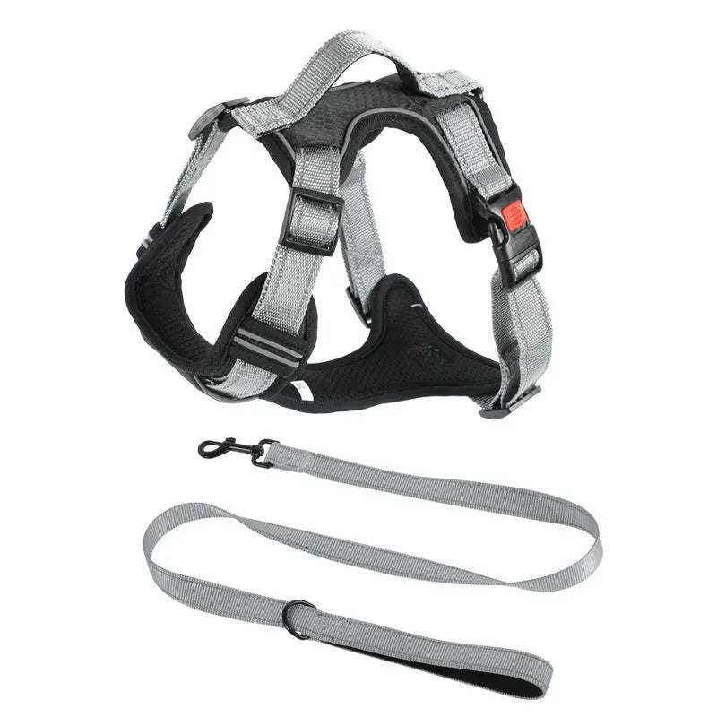 Orange polyester dog chest strap harness with an adjustable hand holding rope attached.