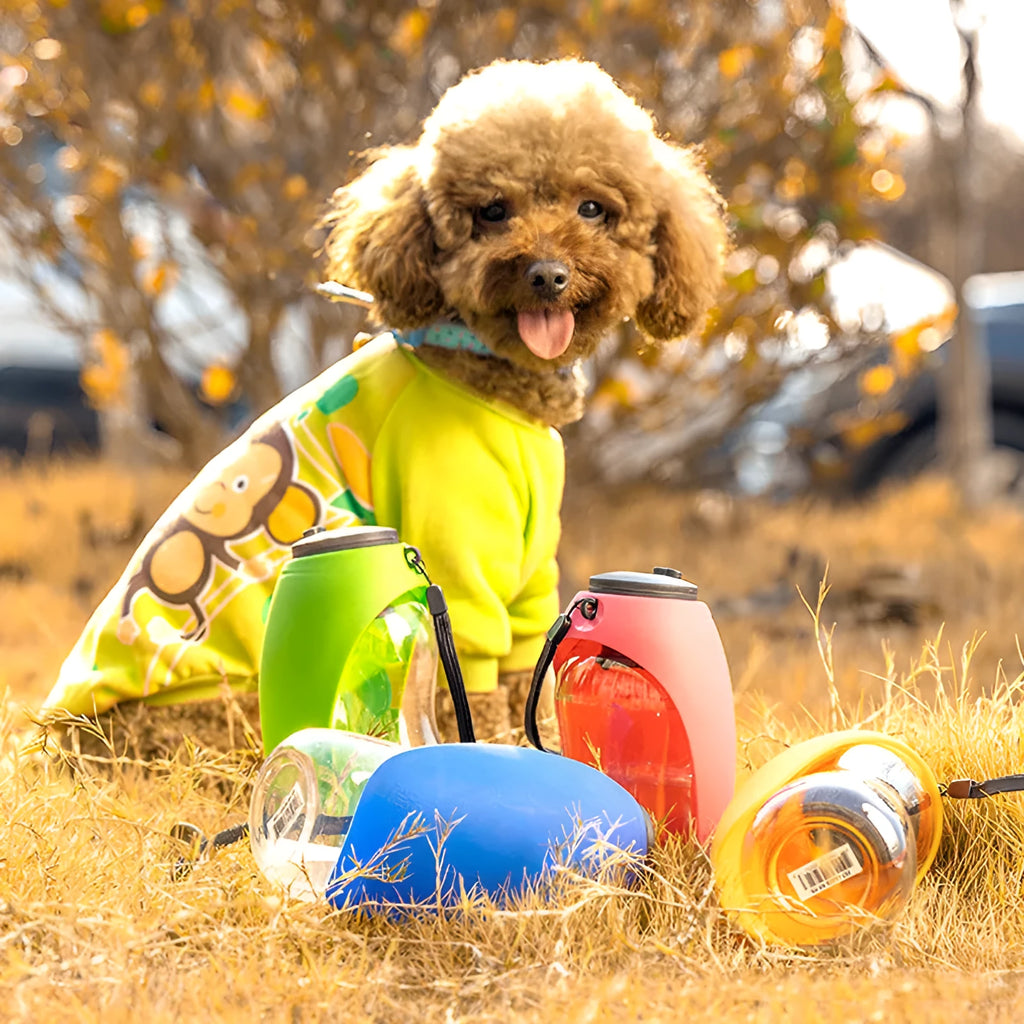 Blue portable pet water bottle with fold-out drinking bowl and carabiner clip for outdoor use