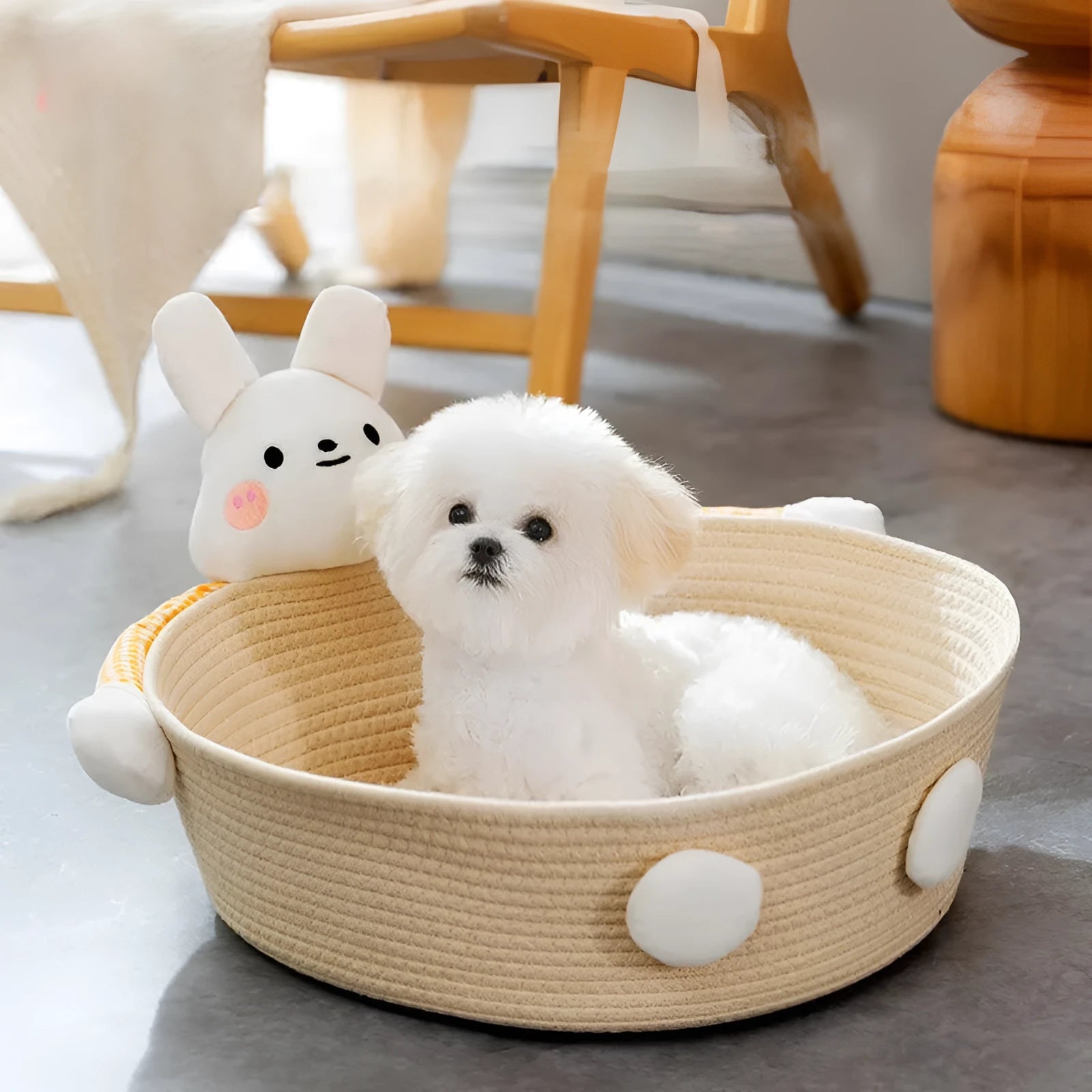 Woven cotton rope pet basket functioning as a cat bed, scratcher, and storage container in a natural colour.